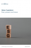 Woke Capitalism